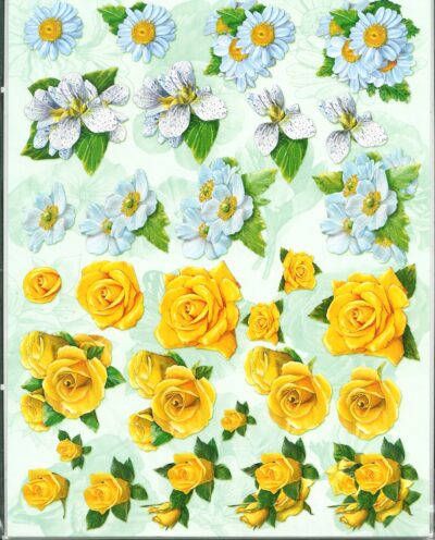 3D-kuva, keltaisia ja valkoisia kukkia