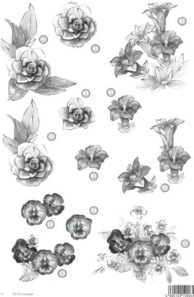 Gardenia ja orvokki mustavalkoisena stanssattu 3D-kuva 10 arkkia/paketti