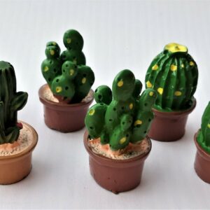Kaktus miniatyyrit 6kpl